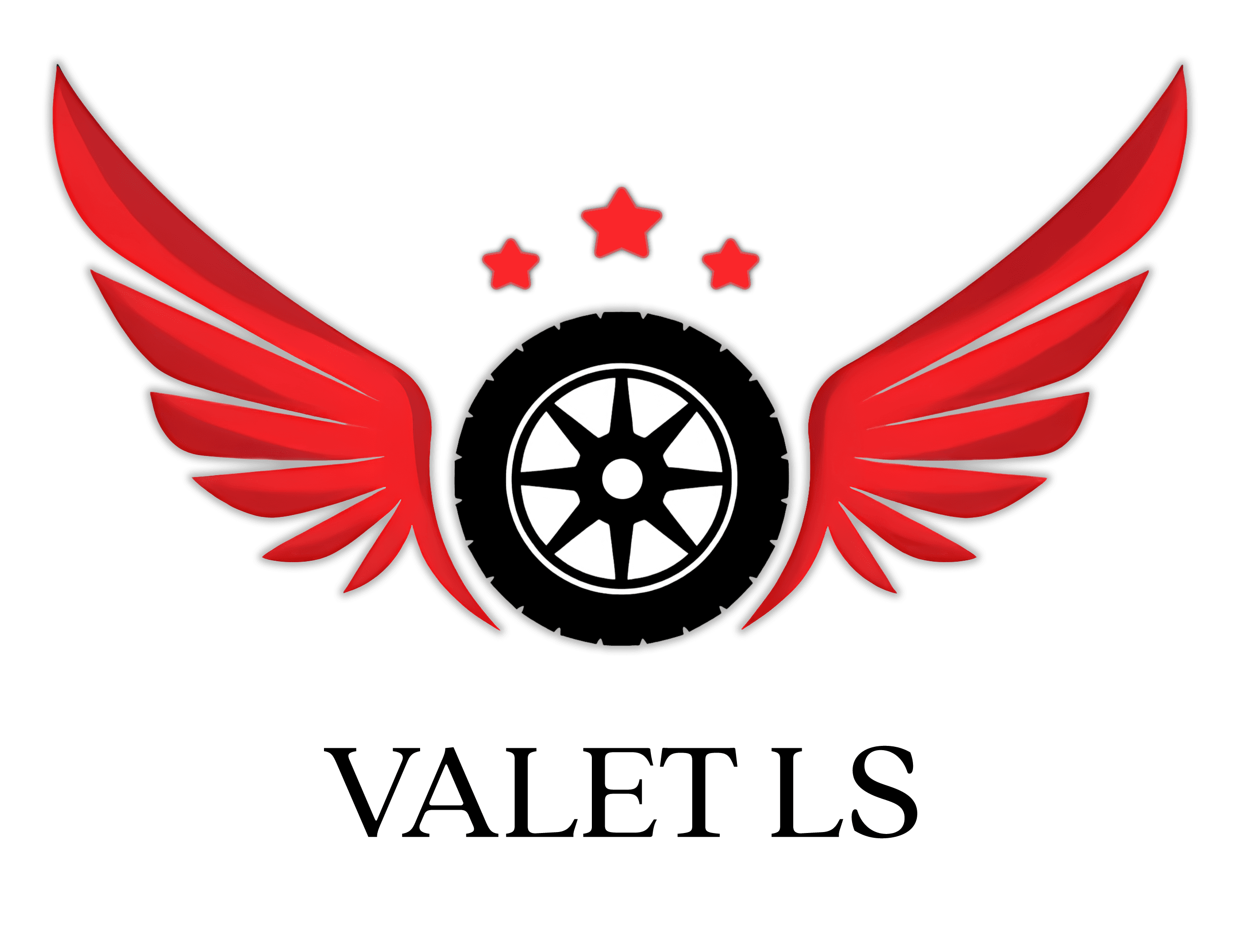 Parking VALET LS - Photo 5